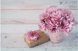 Fleurs roses