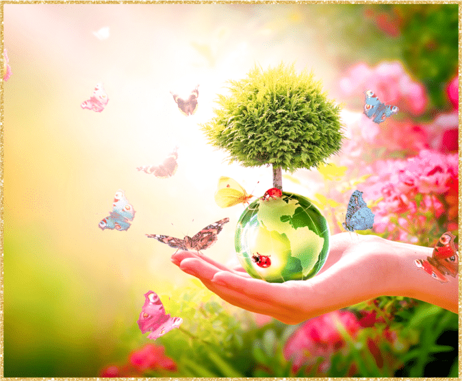 main arbre coaching consicent